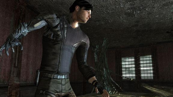 Dark Sector
